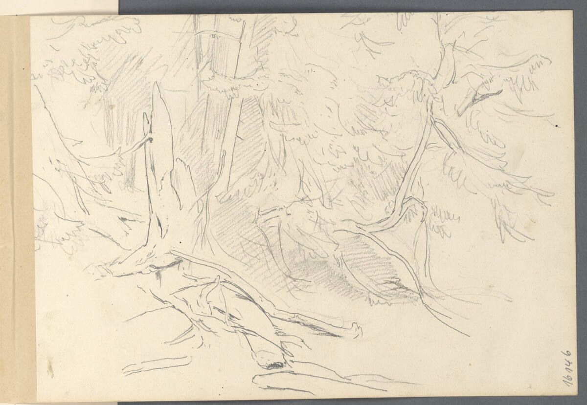 Baumstudien, Anton Hansch, 1850–1870