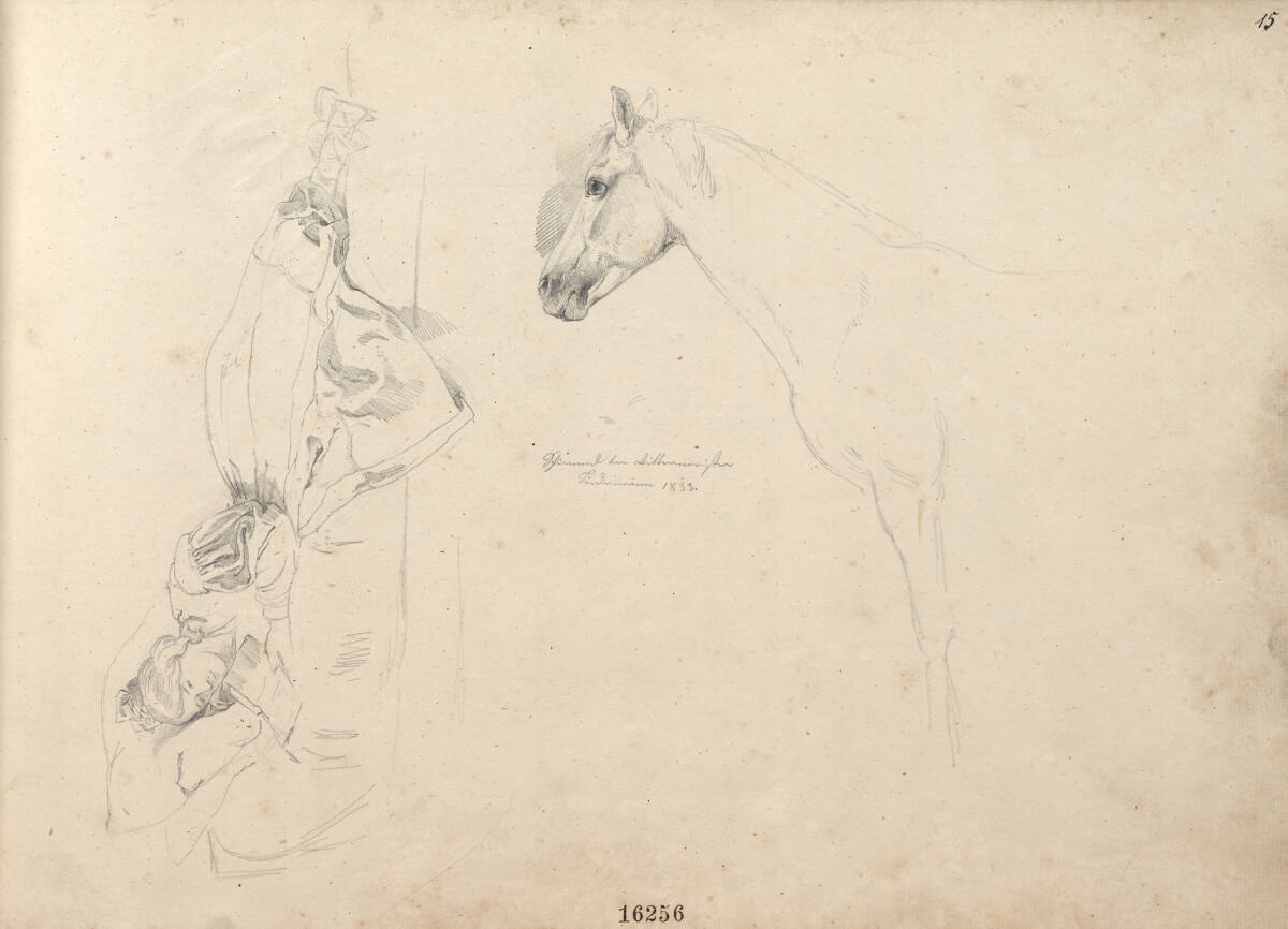 Skizze einer Lesenden; Pferdestudie: Schimmel vom Rittmeister Bindemann (lt. Bez.), Friedrich Gauermann
