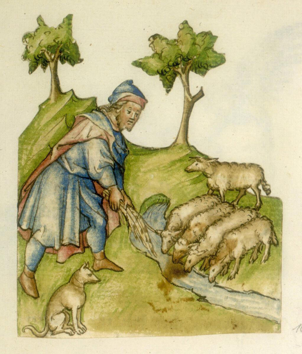 Anonym, Jakob zeigt den Schafen die Weidenruten, Inv. Nr.: 31036/169