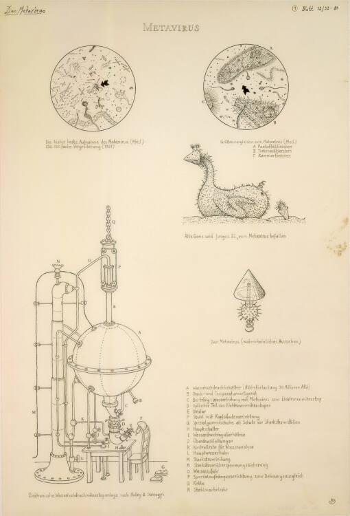 Walter Schmögner, Der Metavirus, Inv. Nr.: 43424