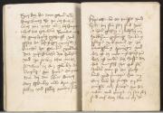 Anonym, Gotische Pergamenthandschrift mit Miniaturen, Inv. Nr.: 26445