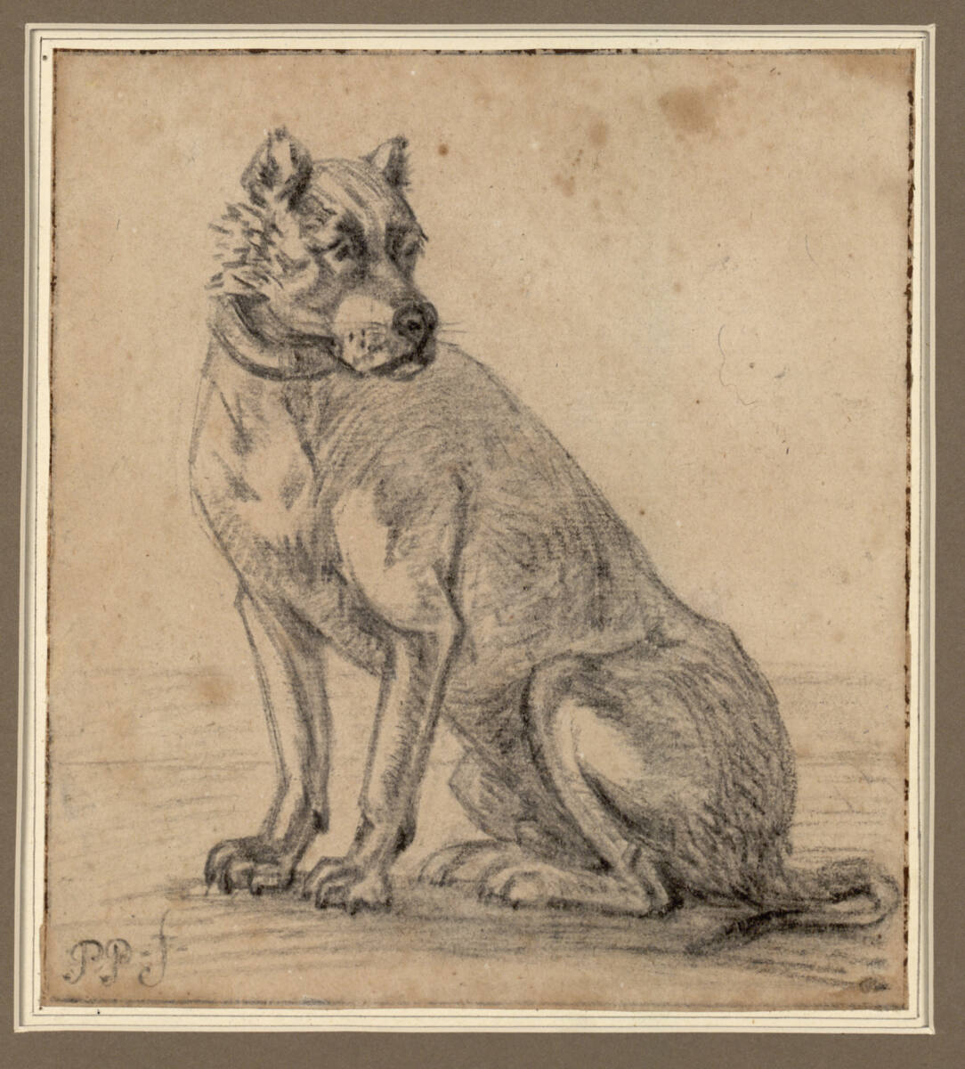 Sitzende Dogge, Paulus Potter