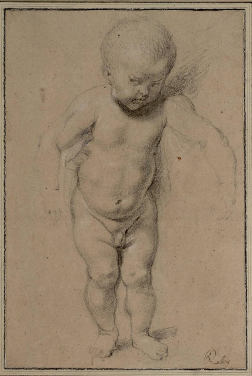 Peter Paul Rubens, Studie des Jesusknaben, Inv. Nr.: 17639