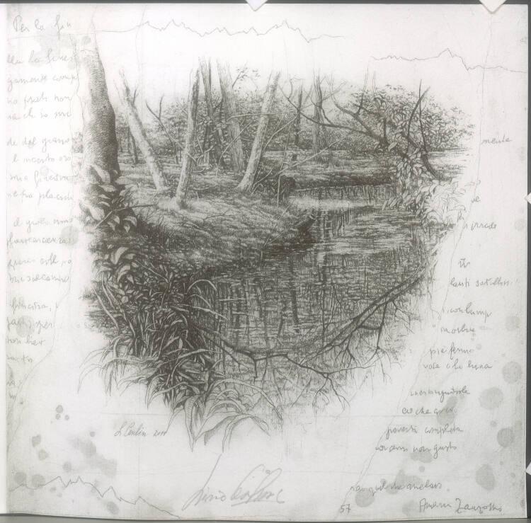 Livio Ceschin, TE STA VAL: Ruscello di Bosco - Waldbach, Inv. Nr.: DG2013/217/1