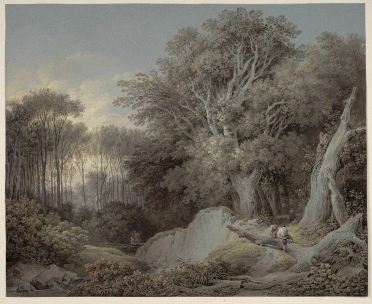 Waldbach mit Steg, Martin von Molitor, 1804