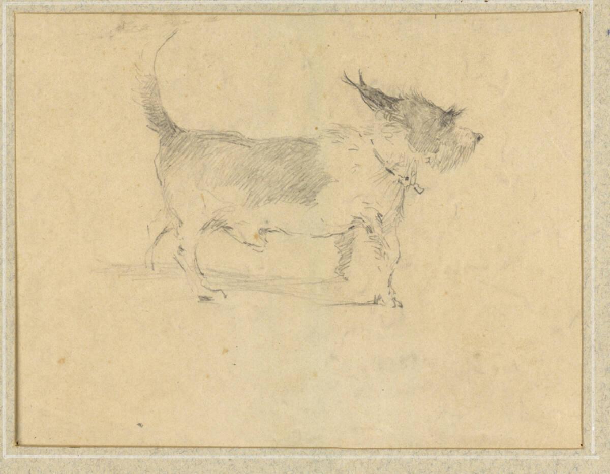 Rudolf Bacher, Hund, Inv. Nr.: 18969