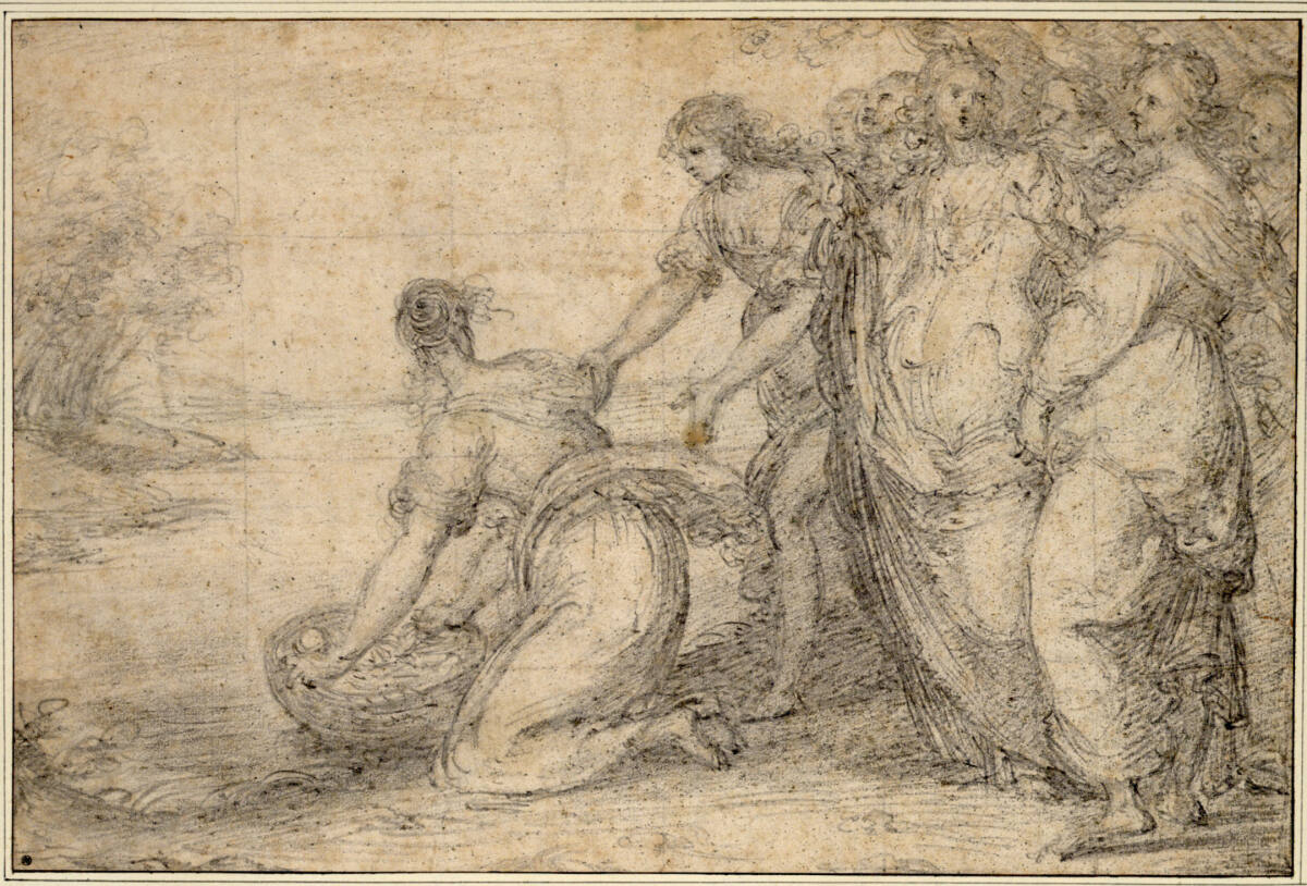 Die Auffindung des Moses, Jacopo Confortini