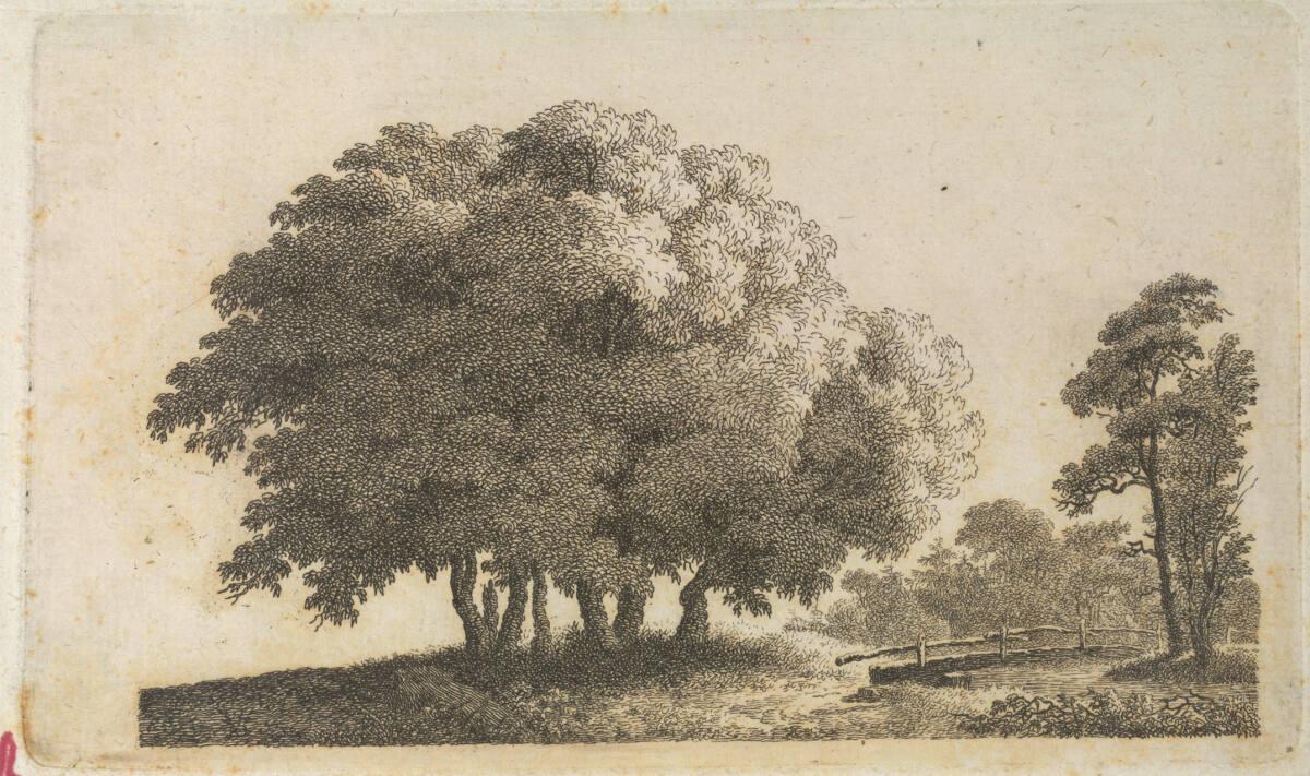 Caspar David Friedrich, Gruppe von sechs Bäumen mit Steg, Inv. Nr.: DG1938/93
