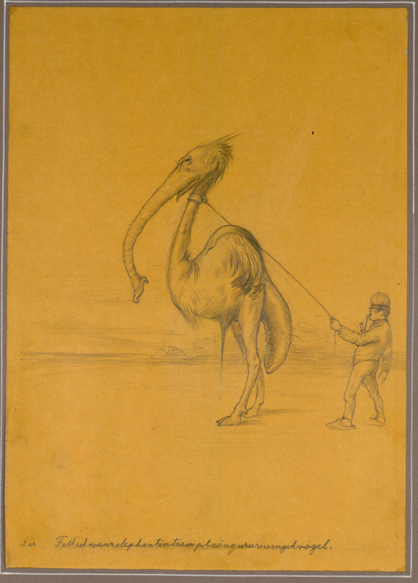 "Der Fettschwanzelephantentramplcängürüriesengehvogel", Friedrich König