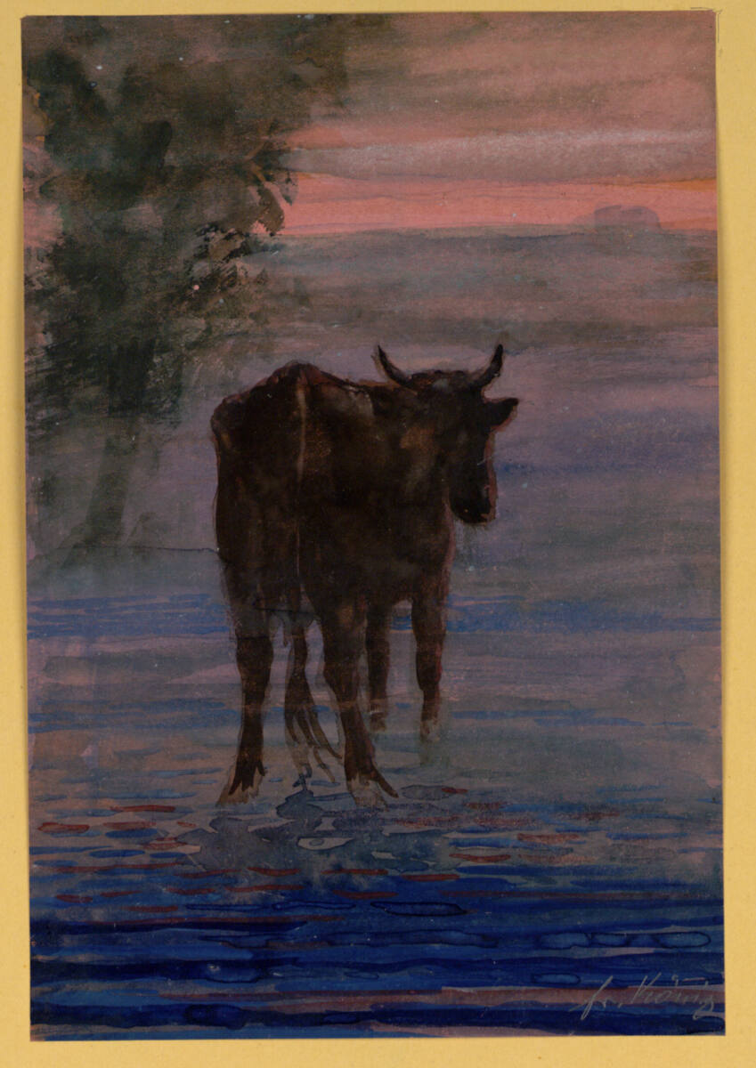 Kuh in der Furt, Friedrich König