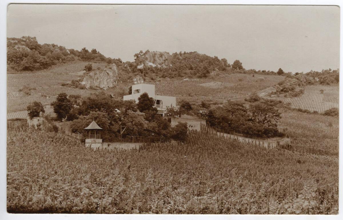 Landhaus Carla Spanner, Gumpoldskirchen 270, Rotes Mäuerl, Niederösterreich, Blick über die Wei…
