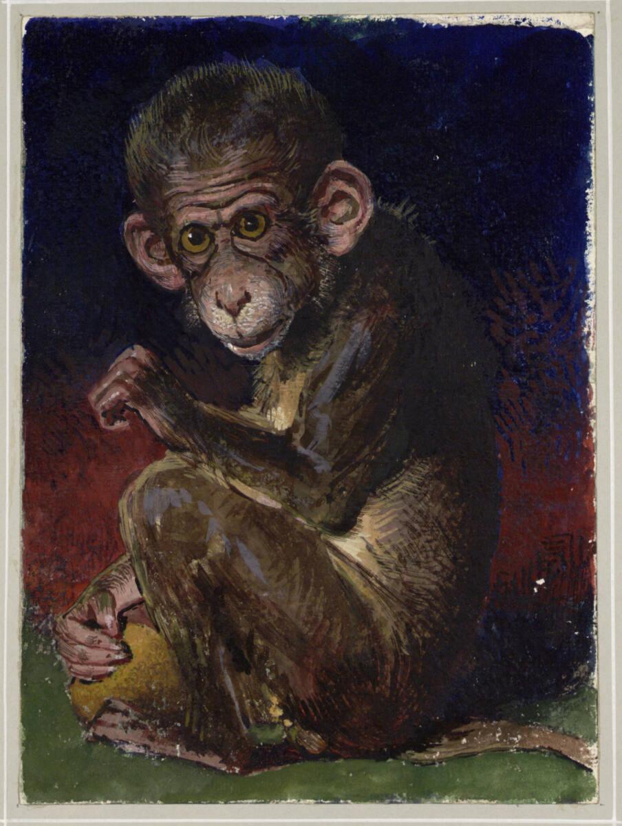 Maximilian Lenz, Affe, Inv. Nr.: 19370