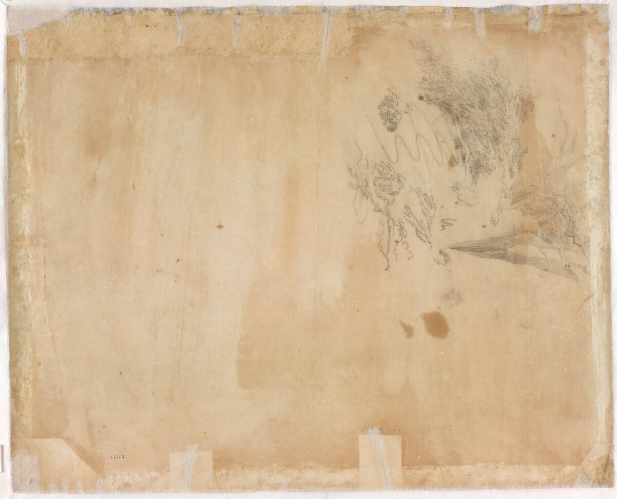 Baumstudie, Carl Blechen