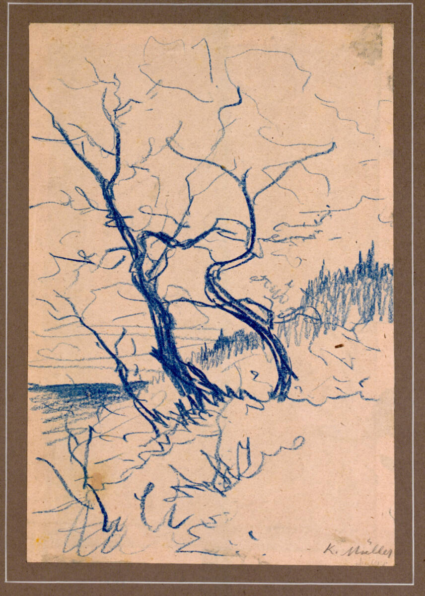Baumstudie, Karl Müller