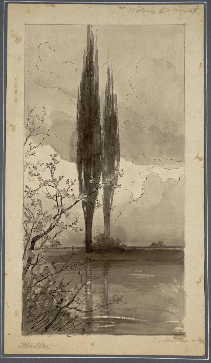 Karl Müller, Pappeln am Ufer, Inv. Nr.: 19486