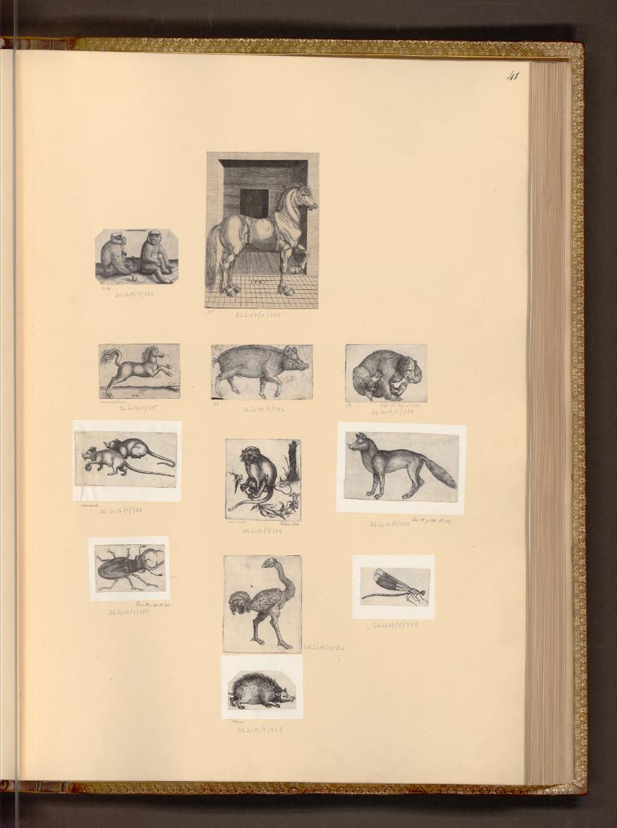 Deutsche Druckgrafiken des 16. Jahrhunderts, Tiere, Inv. Nr.: Deutsch nach Sektionen I/26, D/I/…