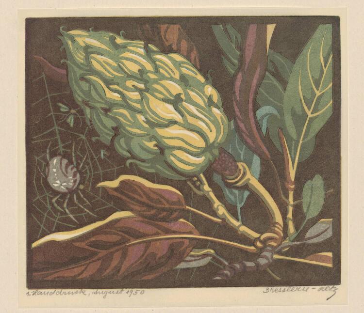 Norbertine von Bresslern-Roth, Spinne, Inv. Nr.: DG1979/60/125