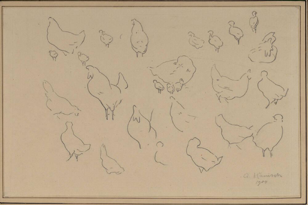 Alois Hänisch, Hühnerstudien, Inv. Nr.: 22394a