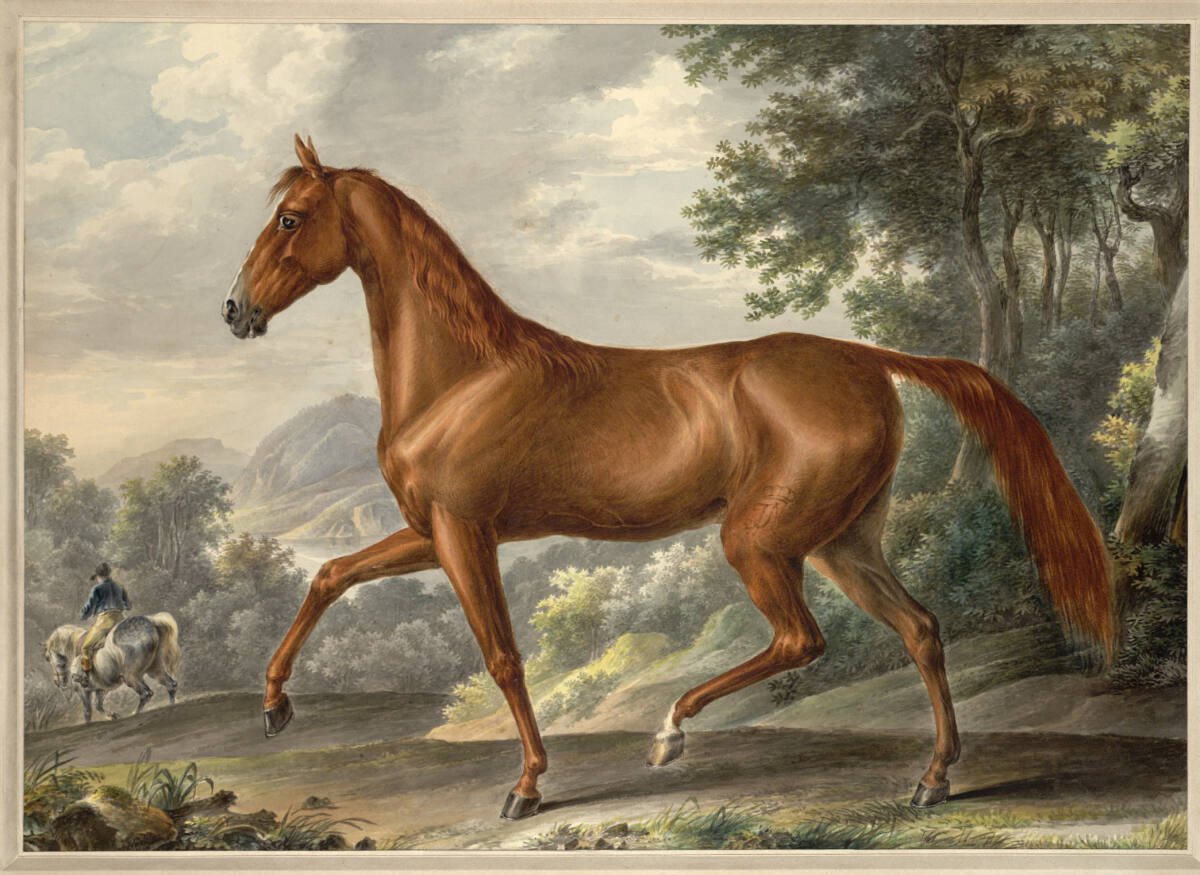 Goldfuchs, Johann Nepomuk Höchle