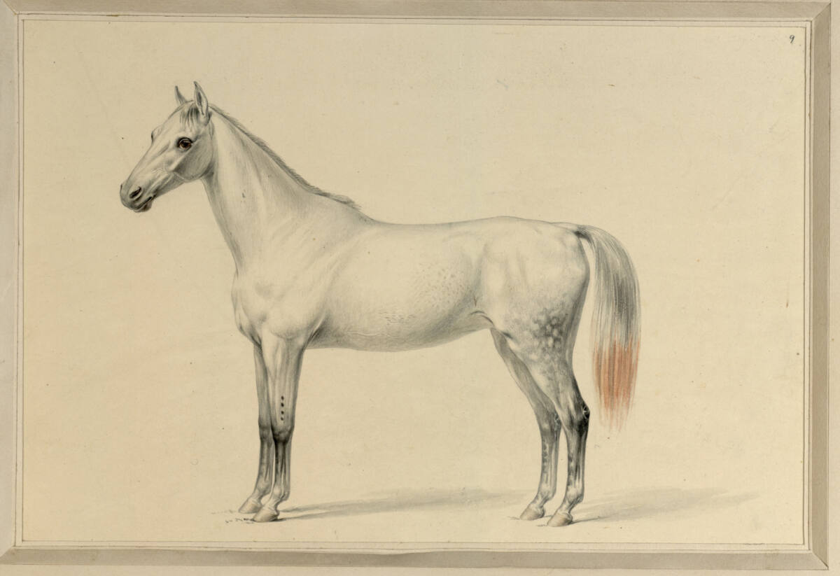 Selince, Sigmund Ferdinand von Perger, 1816