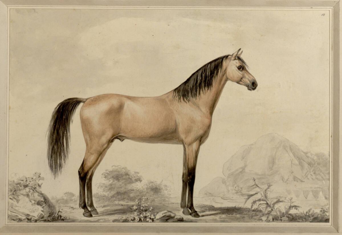 Sigmund Ferdinand von Perger, Sultan, Inv. Nr.: 22729