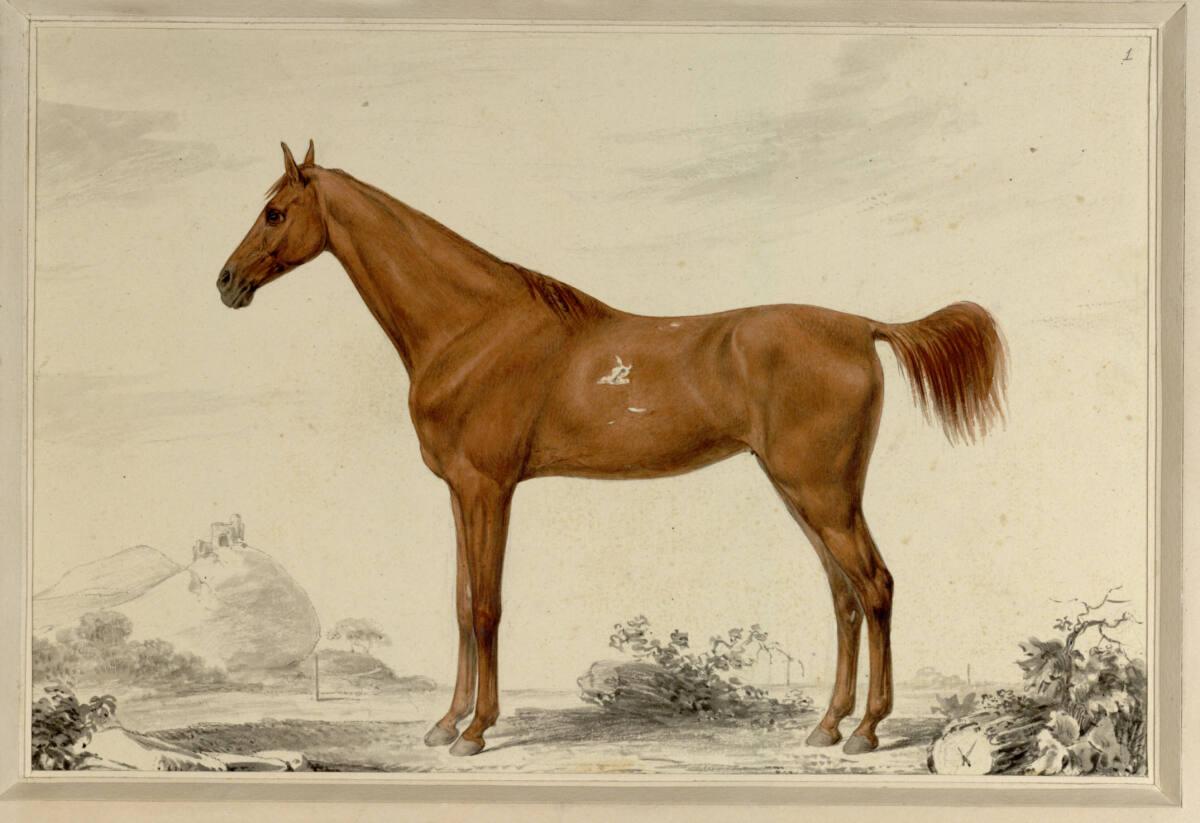 Sigmund Ferdinand von Perger, Doctor, Inv. Nr.: 22732