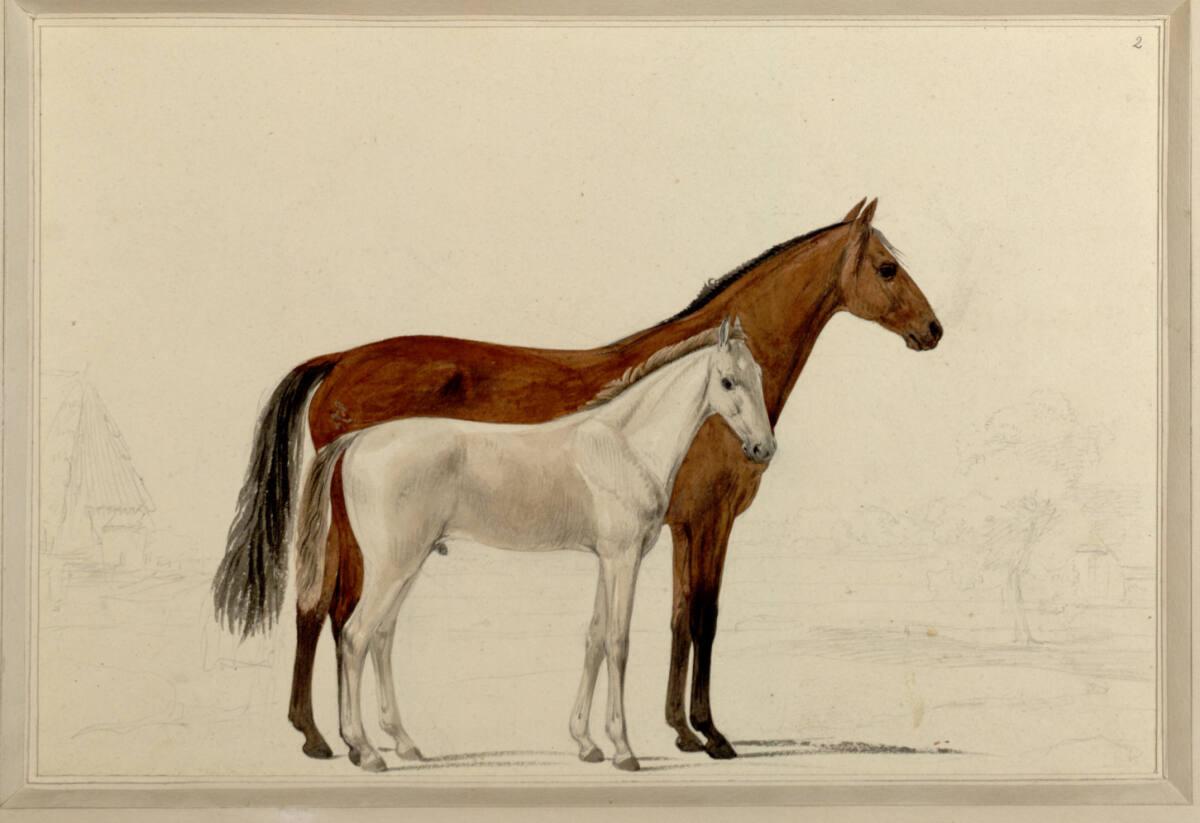 Sigmund Ferdinand von Perger, Transmontana, Inv. Nr.: 22733