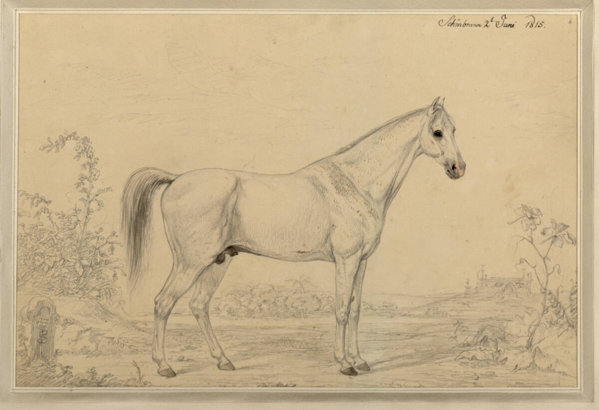 Pascha, Sigmund Ferdinand von Perger, 1815