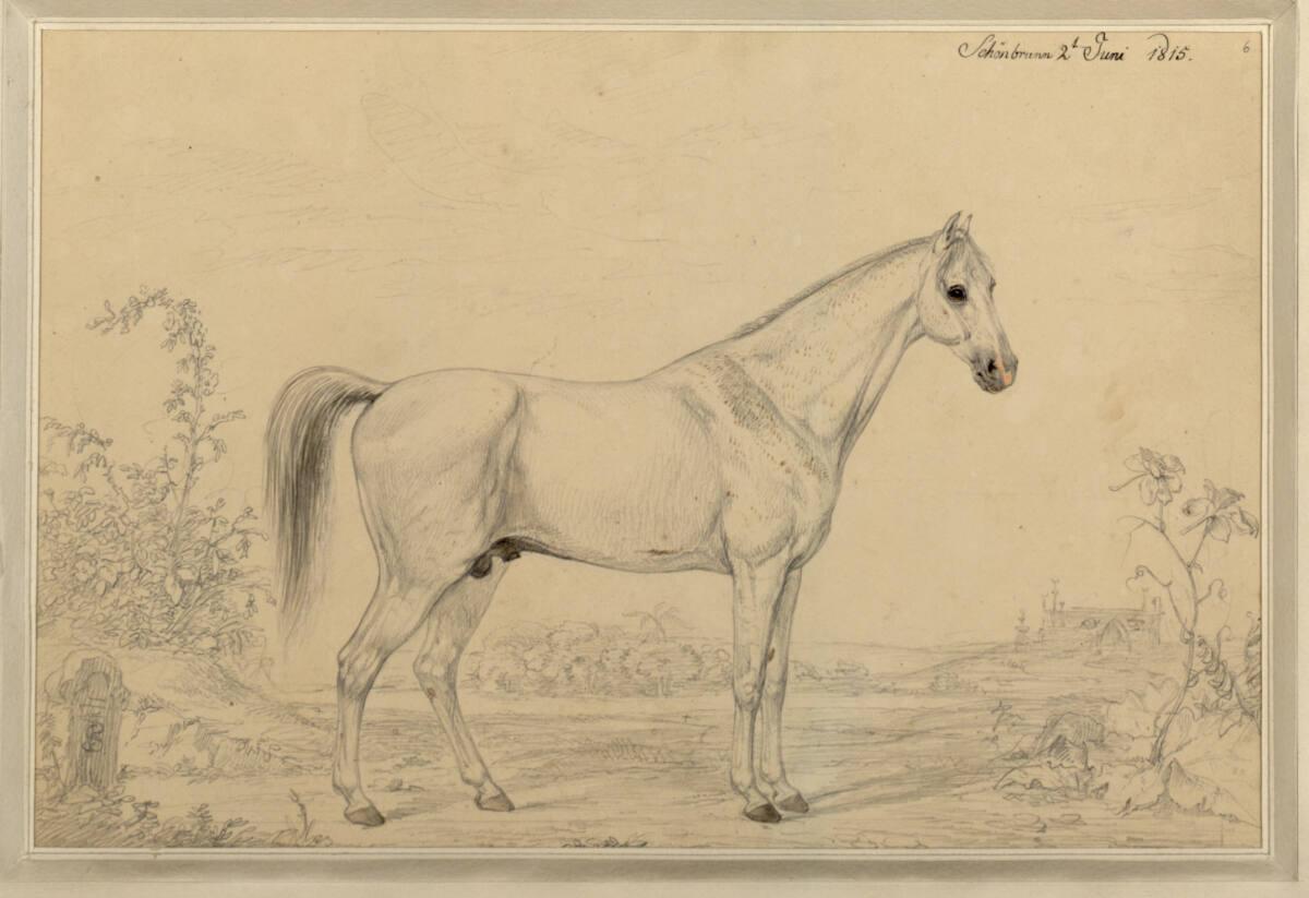 Sigmund Ferdinand von Perger, Pascha, Inv. Nr.: 22735