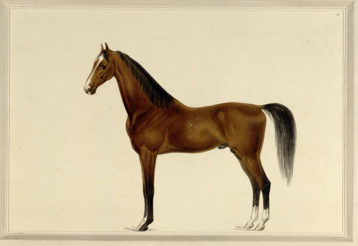 Sigmund Ferdinand von Perger, Jaffa, Inv. Nr.: 22738