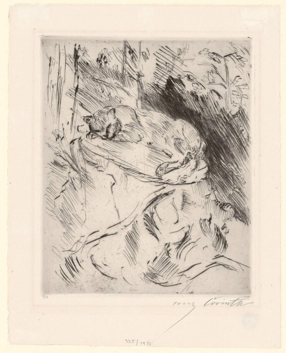 Lovis Corinth, Katze auf Baumstrunk, Inv. Nr.: DG1951/325
