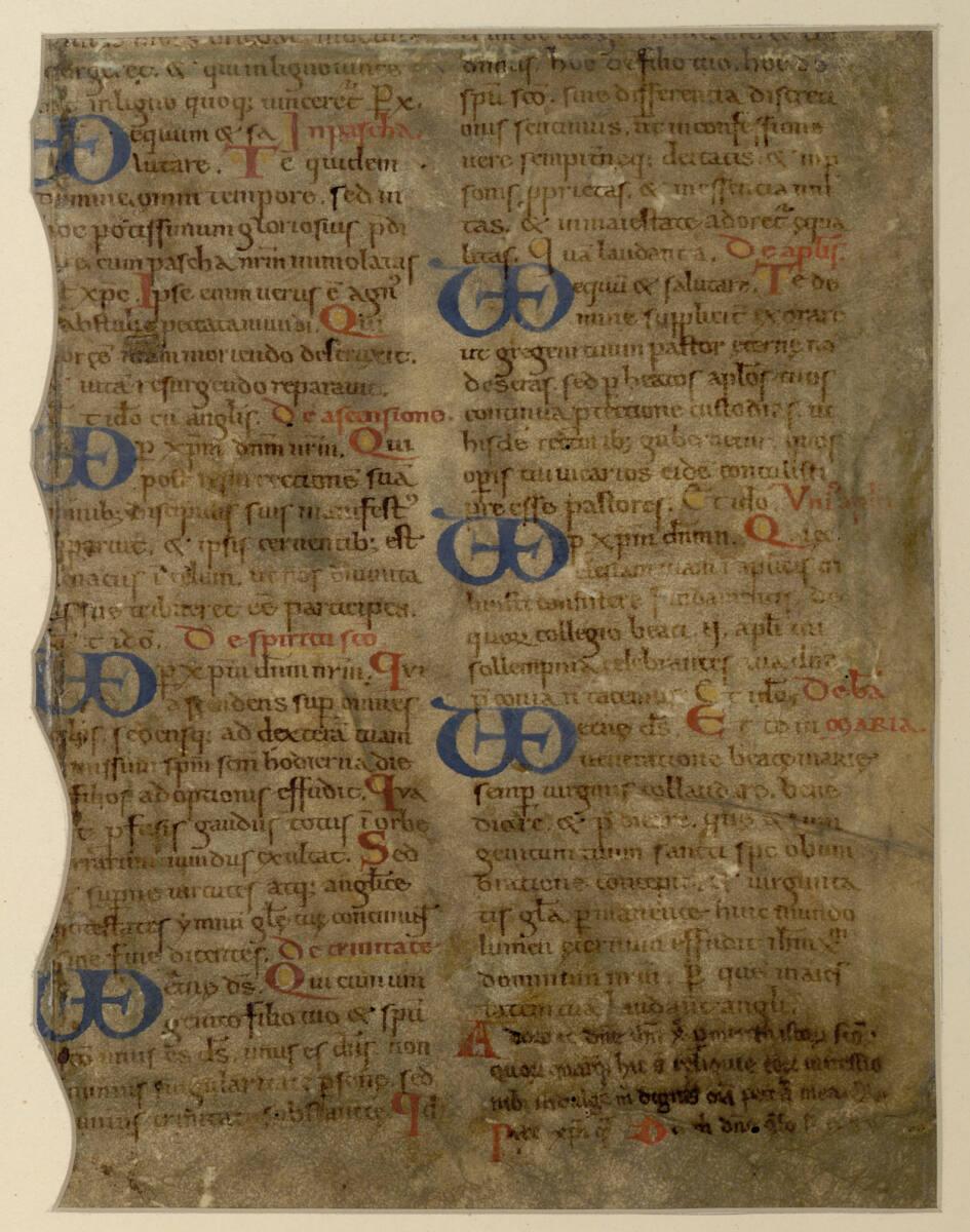 Anonym, Text mit blauen Initialen, Inv. Nr.: 22864v