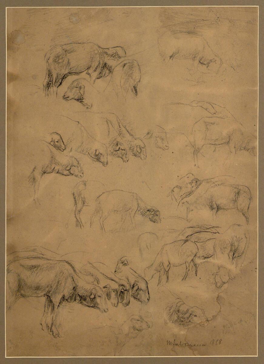 Max Liebermann, Studien zu weidenden Schafen, Inv. Nr.: 23119