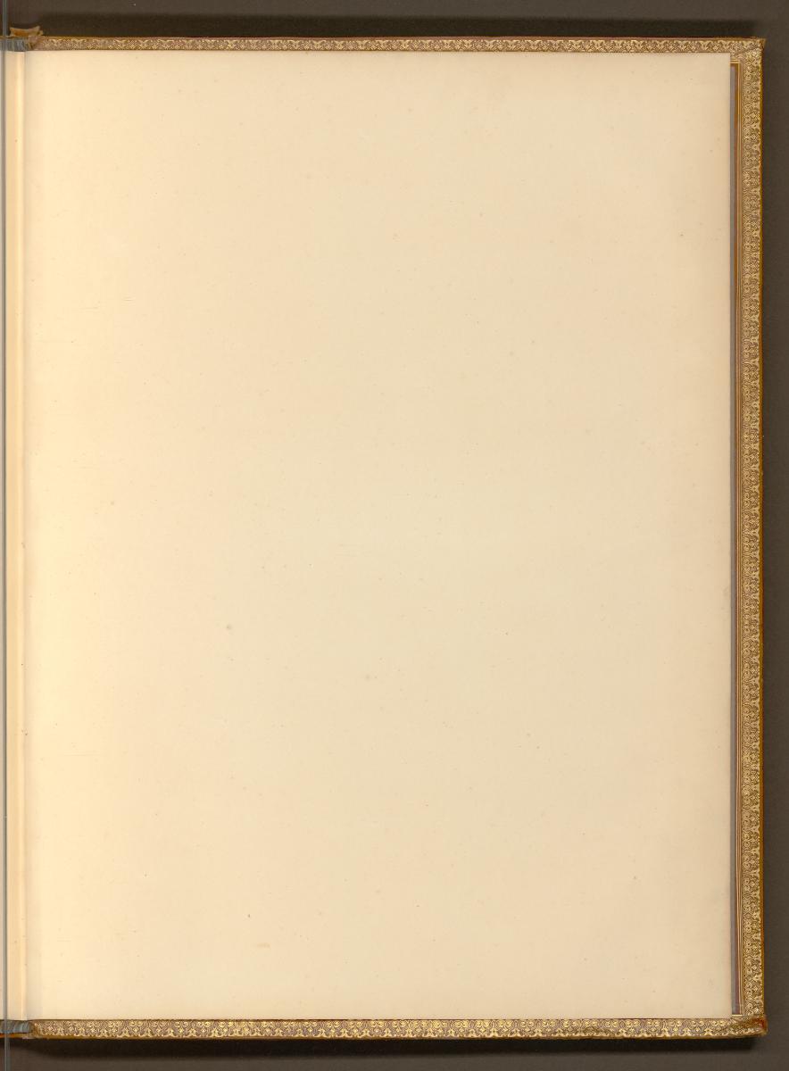Lucas Cranach d. Ä., Lucas Cranach d. J., Holzschnitte von und nach Lucas Cranach d. Ä., Fliege…