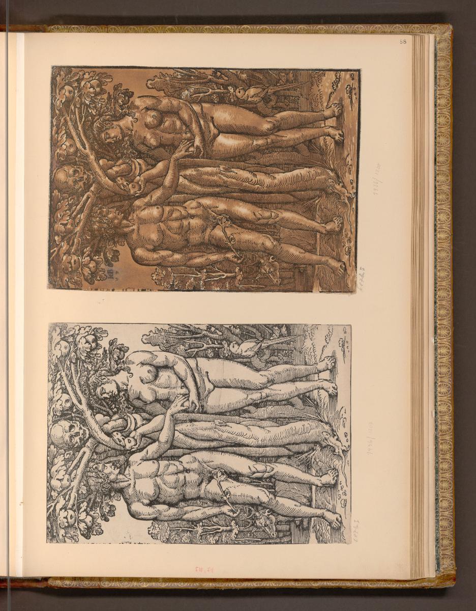 Holzschnitte von und nach Hans Sebald Beham, Adam und Eva, Inv. Nr.: Deutsch nach Sektionen I/2…