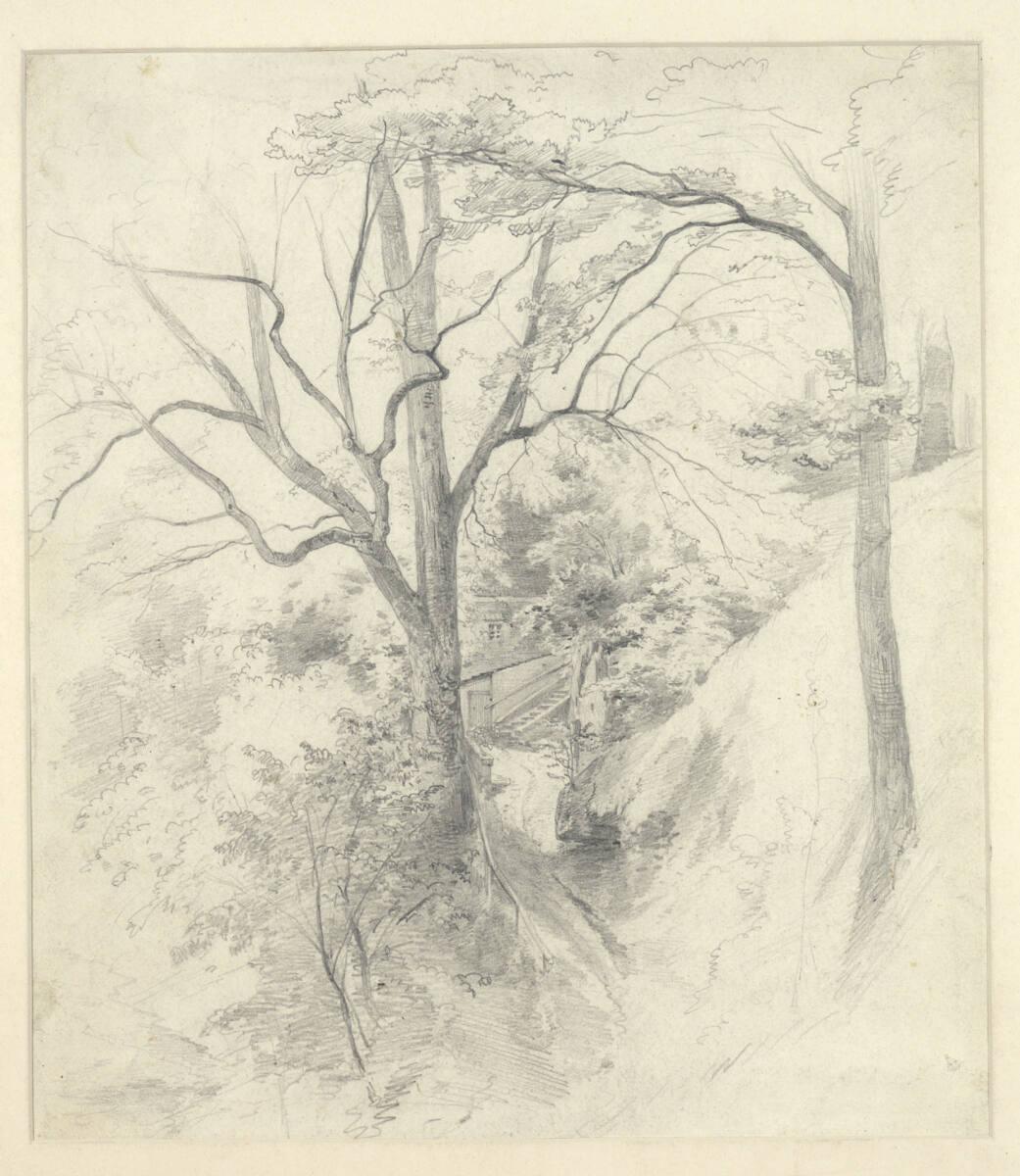 Eduard Brechler, Baumstudie, Inv. Nr.: 23182