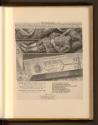 Porträtstiche von Lucas Kilian und Druckgrafiken von Georg Andreas Wolfgang, Porträt, Inv. Nr.:…