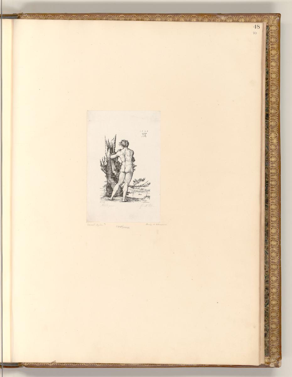Druckgrafiken von Georg Pencz und Heinrich Aldegrever, Männerakt, Rückenansicht, Inv. Nr.: Deut…