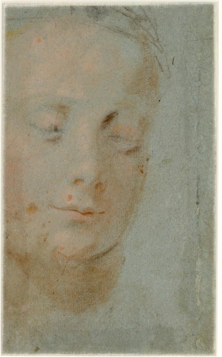 Bartolomeo Cesi, Studienkopf mit geschlossenen Augen, Inv. Nr.: 23368v