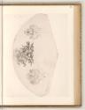 Radierungen von Daniel Nikolaus Chodowiecki, Apotheose König Friedrichs II. (Fächer), Inv. Nr.:…