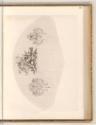 Radierungen von Daniel Nikolaus Chodowiecki, Apotheose König Friedrichs II. (Fächer), Inv. Nr.:…