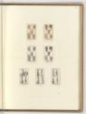 Buchillustrationen von Daniel Nikolaus Chodowiecki, Lauenburger Genealogischer Kalender von 178…