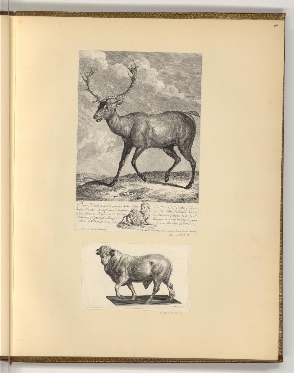 Druckgrafiken der Familie Schmutzer und Johann Gotthard von Müller, Tiere, Inv. Nr.: Deutsch na…