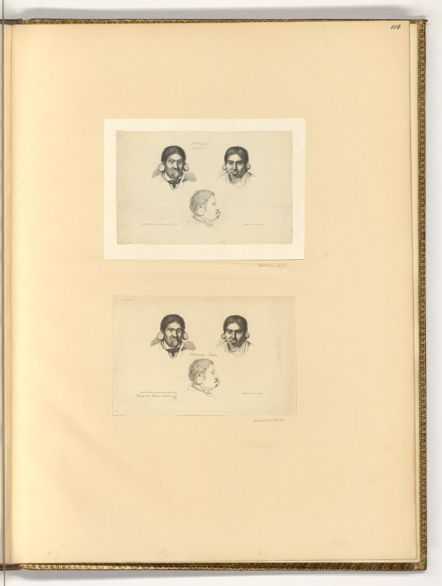 Druckgrafiken von Karl Rahl d. Ä., Porträtköpfe (Botokuden Inder), Inv. Nr.: Deutsch nach Sekti…