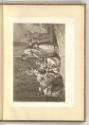 Druckgrafiken von Karl Rahl d. Ä., Szene nach Statii Thebaid: Lib. X v: 817-20, Inv. Nr.: Deuts…