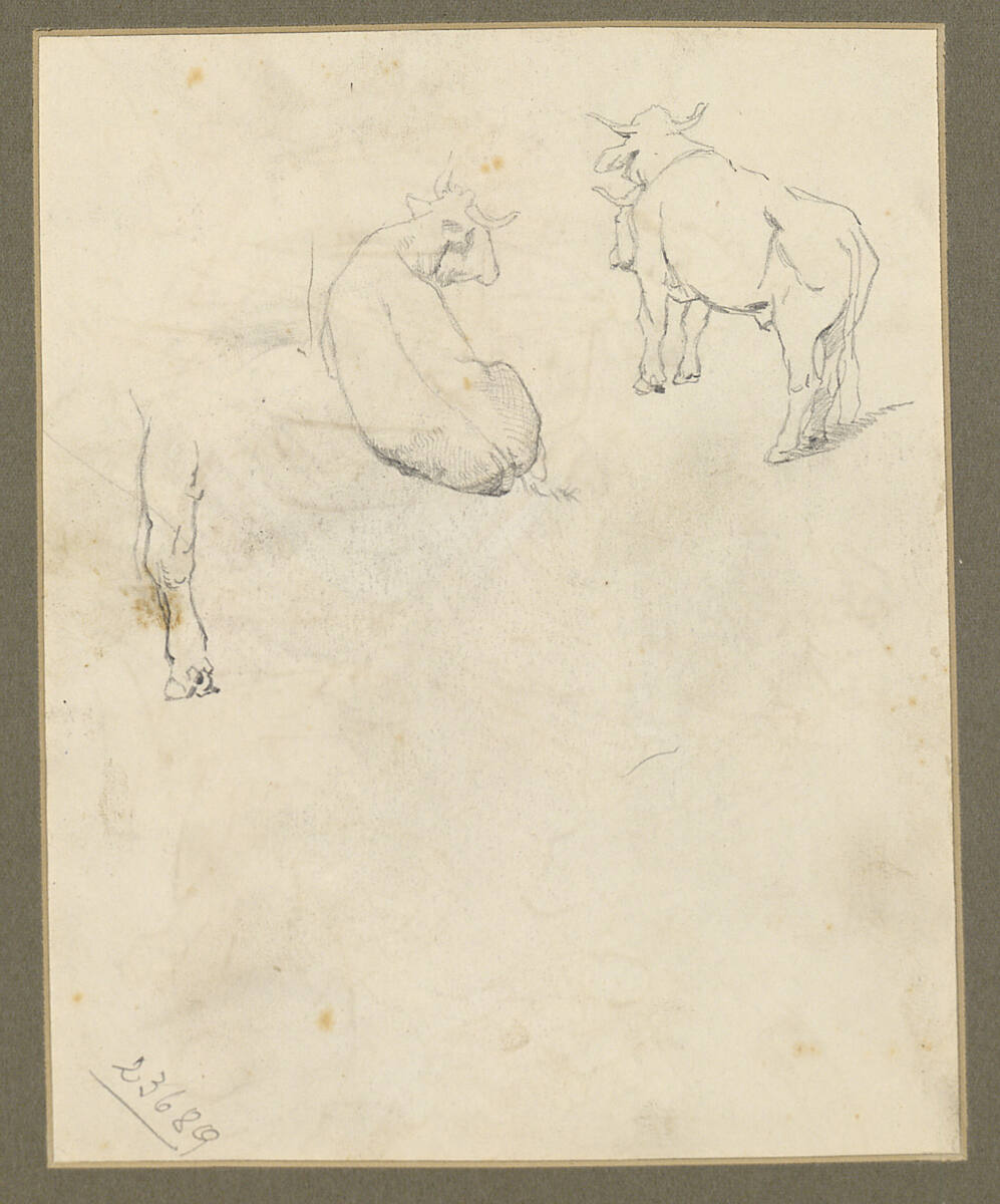 Studien einer Kuh oder eines Ochsen, Alfred Rethel