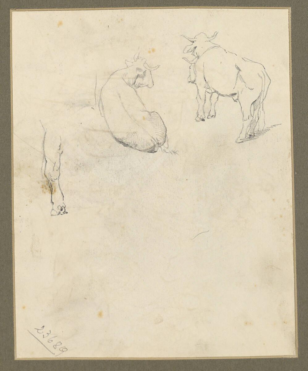 Alfred Rethel, Studien einer Kuh oder eines Ochsen, Inv. Nr.: 23689v