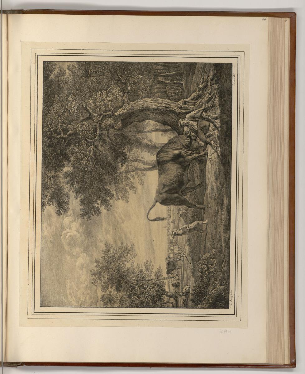 Galeriewerk aus der königlichen Sammlung von München und Schleißheim, Stier und Knabe in einer …