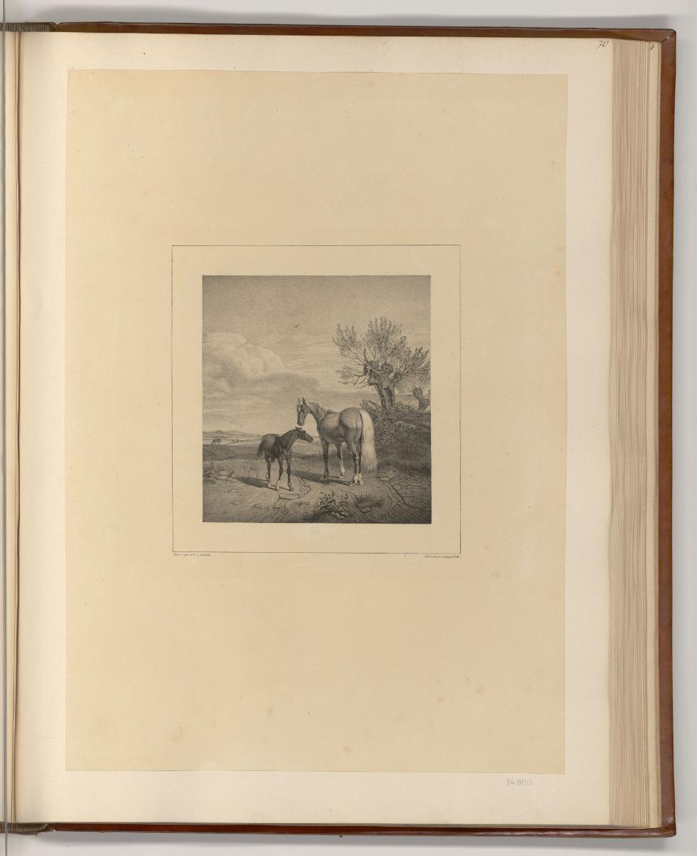 Galeriewerk aus der königlichen Sammlung von München und Schleißheim, Stute mit Fohlen, Inv. Nr…