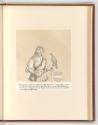Lithografierter Stammbaum des Hauses Habsburg, Friedrich, Inv. Nr.: Deutsch nach Sektionen II/5…